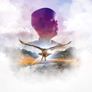 Meet your Posher, Abigail